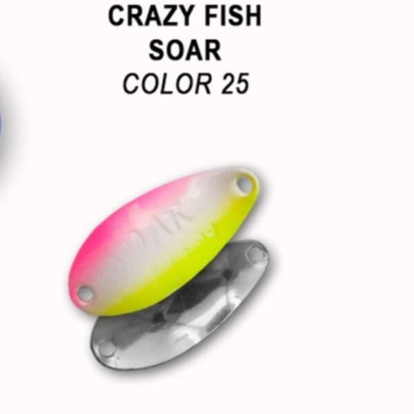 Crazy Fish Soar 2.2G – Bild 6