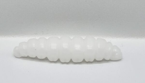 Larva